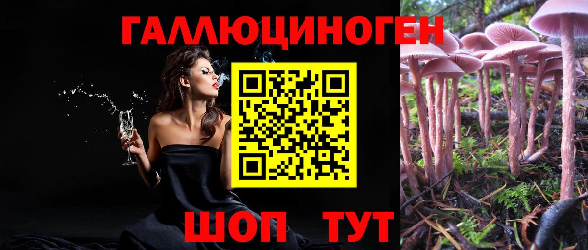 Галлюциногенные грибы мухоморы Троицк